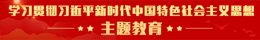 學(xué)習(xí)貫徹習(xí)近平新時(shí)代中國特色社會(huì)主義思想主題教育